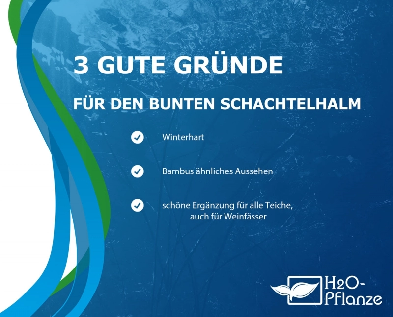 3 gute Gründe